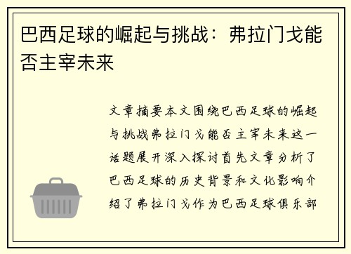 巴西足球的崛起与挑战：弗拉门戈能否主宰未来